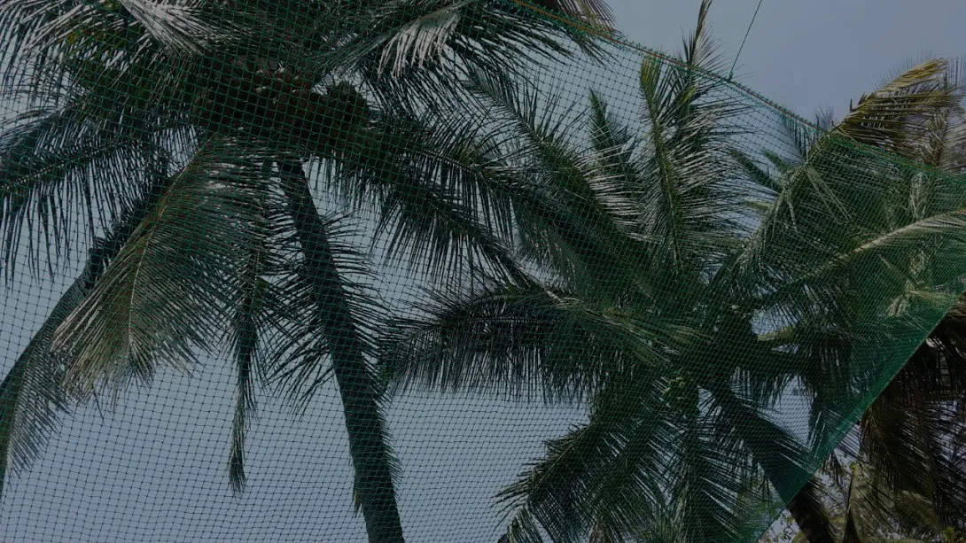 Balcony Safety Nets Noida